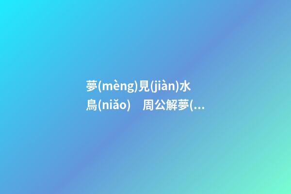 夢(mèng)見(jiàn)水鳥(niǎo)　周公解夢(mèng)之夢(mèng)到水鳥(niǎo)